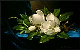 Martin Johnson Heade Giant Magnolias on a Blue Velvet Cloth painting